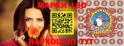 шишки Заволжье
