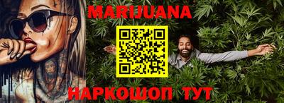 шишки Заволжье