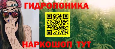 стаф Заводоуковск
