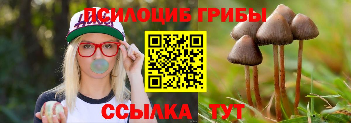 МЕФ   Экстази  Вход с VPN  Гашиш  Химки  Канабис  Лсд 25 